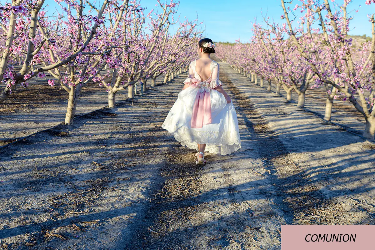 Imagen de una niña de comunión por un campo de arboles en flor.